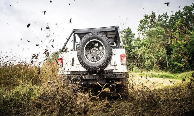 The Best Mahindra Roxor Upgrades for Tougher Off-Road Adventures